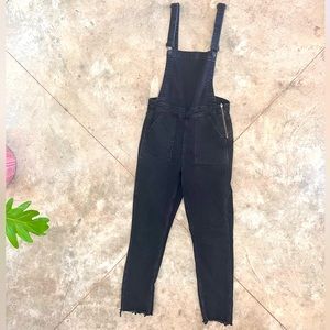 Madewell Skinny Overall in Lunar wash Size Medium